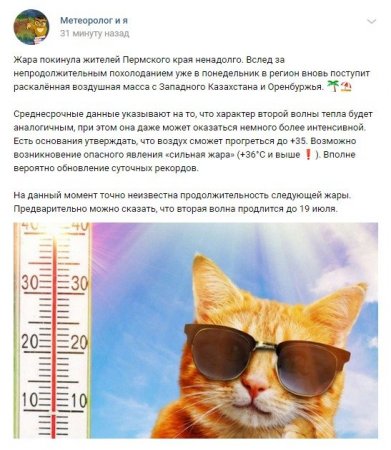 FireShot Capture 331 - Новости - vk.com.jpg