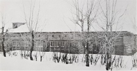 image - 2020-07-06T124847.261.jpeg