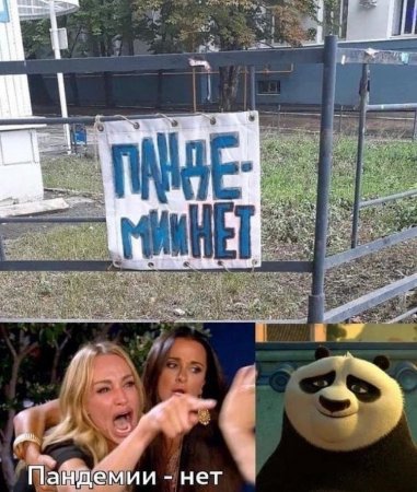 Пандемии нет.jpg