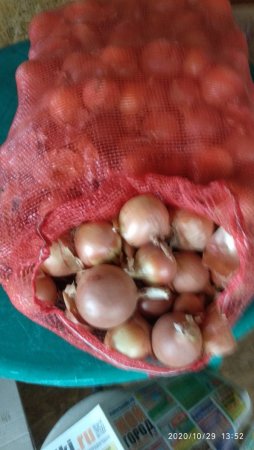 2020-10-29 13-52-21.JPG