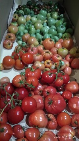 2020-10-04 11-05-02.JPG