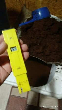 2020-11-24 18-51-49.JPG