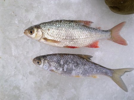 разное 005.jpg