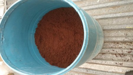 2020-11-27 11-47-33.JPG