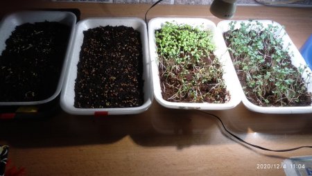 2020-12-04 11-04-27 (1).JPG