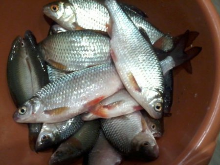 2021-02-06 18.22.34.jpg