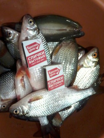 2021-02-06 18.23.03.jpg