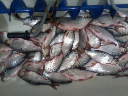 2011-01-01 22.32.29.jpg