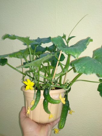 2021-03-06 11-38-38.JPG