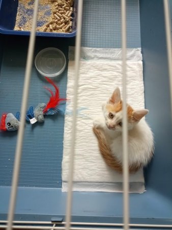 IMG_20210731_165935_2 (1).jpg