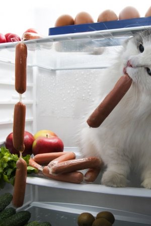 2021-08-12-15-51-26 (1).jpg