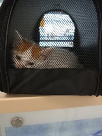 IMG_20210731_060325_0 (1).jpg