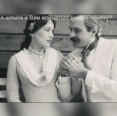 image_preview (2).jpg