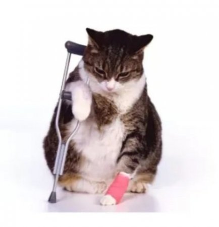 Screenshot_20230916-234037_Samsung Internet.jpg