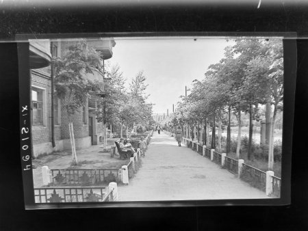 Советский проспект в Березниках. Вид озелененного участка улицы..jpg