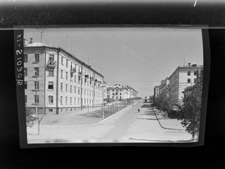 Застройка улицы Л.Толстого в Березниках. Панорама. 1958.jpg