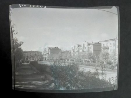 Жилые дома на Парковой ул. в Березняках.1946 г. Общий вид..jpg