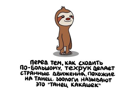 Без имени-1.jpg