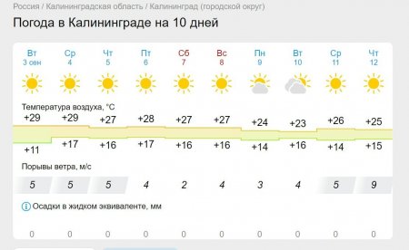 Скриншот 03-09-2024 065756.jpg