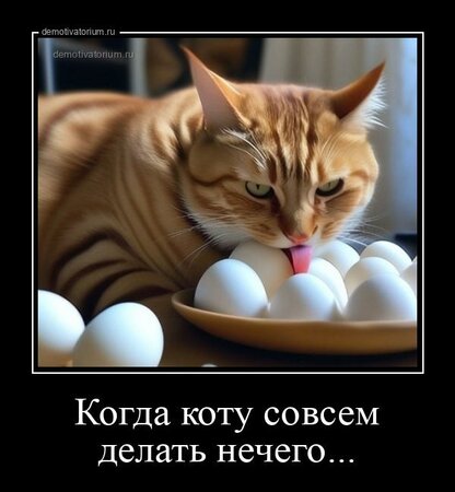 demotivatorium_ru_kogda_kotu_sovsem_delat_nechego_225819.thumb.jpg.fbe47c7751d30f8baa76cbc5428a8cee.jpg