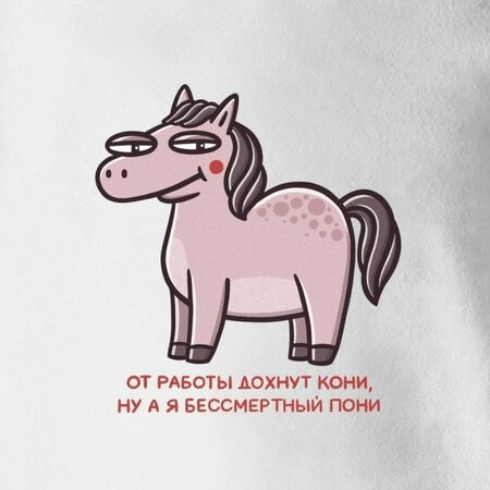 пони.jpg