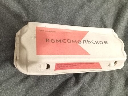 яйцо.jpg