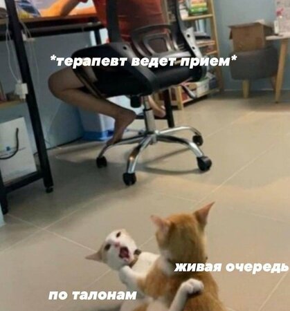 терапевт.jpg