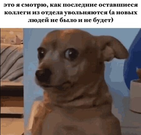 Screenshot_20250311-211140_Samsung Internet.jpg