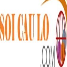 SoiCauLo