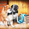 mops