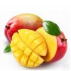 Mango20.01